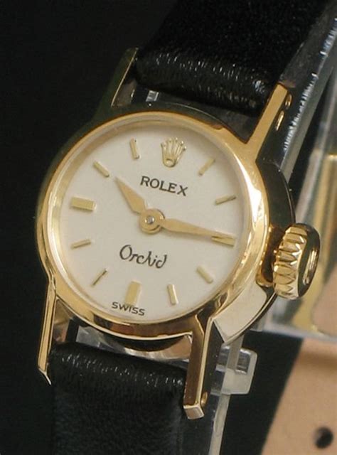 rolex orchid for sale.